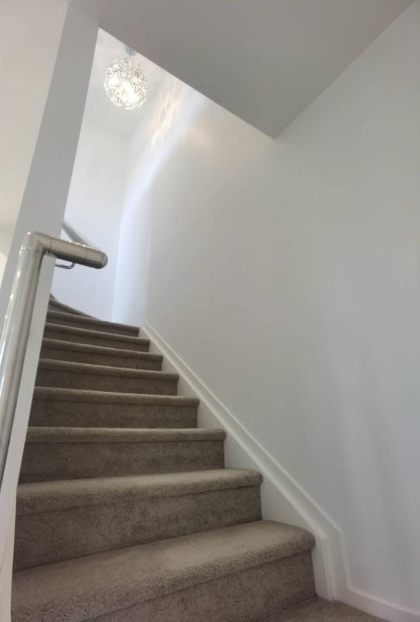 فيلا Henderson New House أوكلاند المظهر الخارجي الصورة